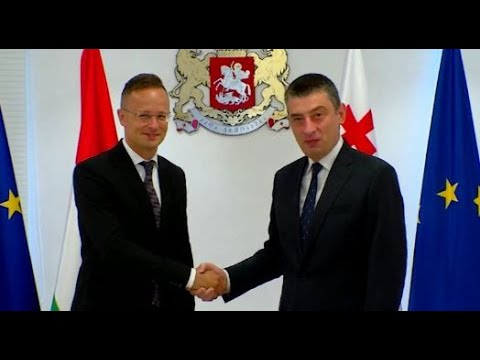 პანდემიის ფონზე საქართველოში პირველი ოფიციალური ვიზიტით უნგრეთის საგარეო საქმეთა მინისტრი ჩამოვიდა